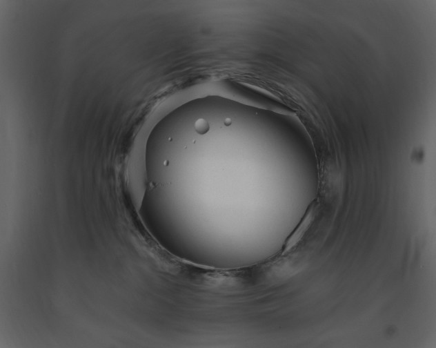 X0000091230284200708231701