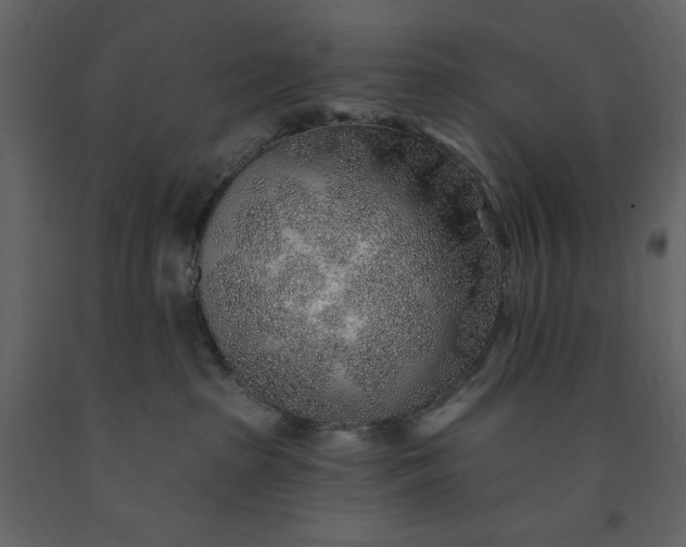 X0000091230285200708231701