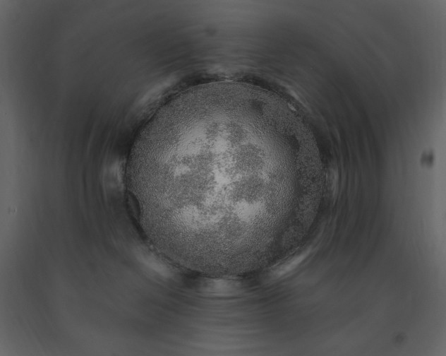 X0000091230286200708231701