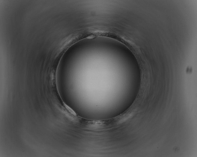X0000091230288200708231701