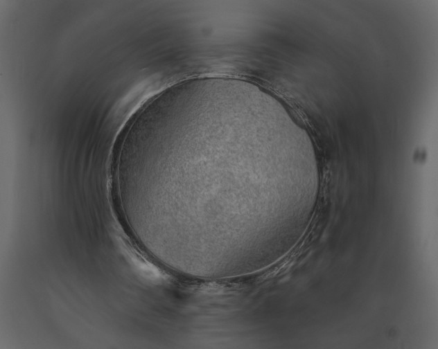 X0000091230290200708231701