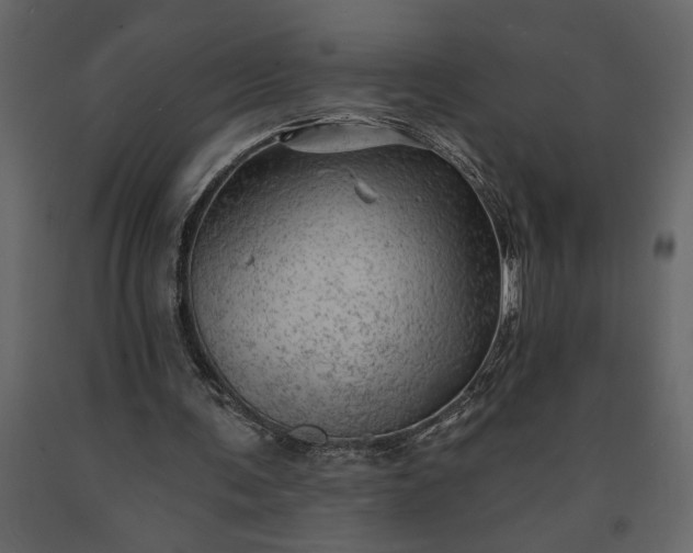 X0000091230291200708231701