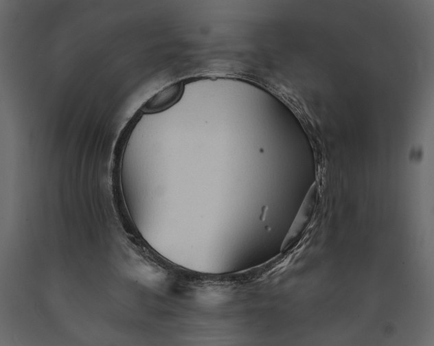 X0000091230292200708231701