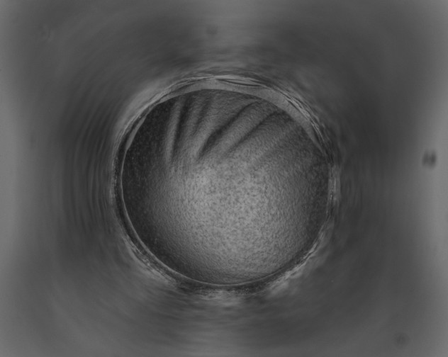 X0000091230293200708231701