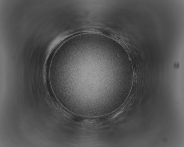X0000091230294200708231701