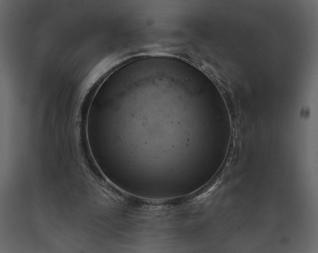 X0000091230295200708231701