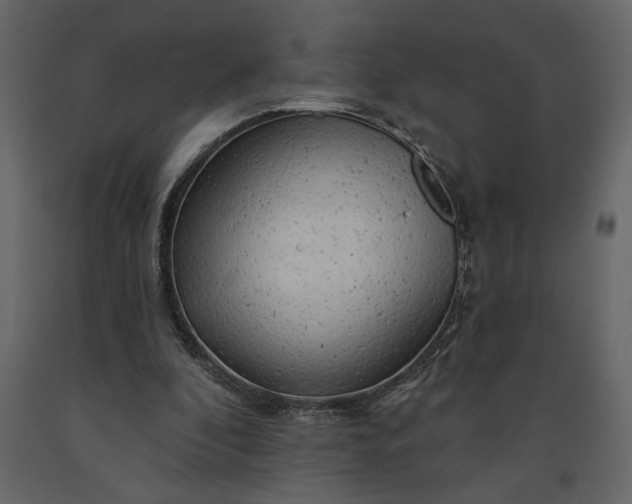 X0000091230296200708231701