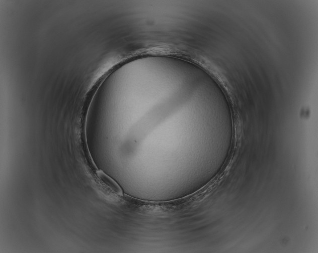 X0000091230297200708231701