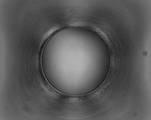 X0000091230298200708231700