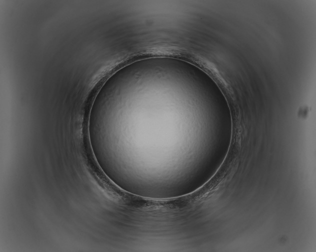 X0000091230299200708231700
