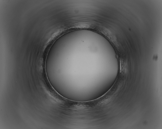X0000091230300200708231700