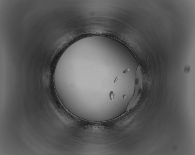 X0000091230304200708231700