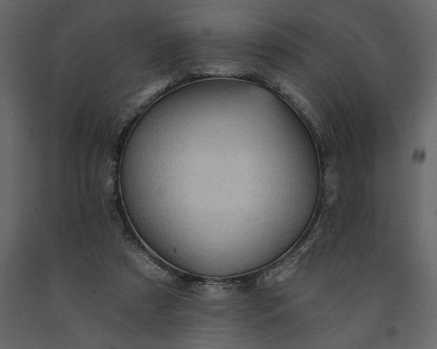 X0000091230305200708231700