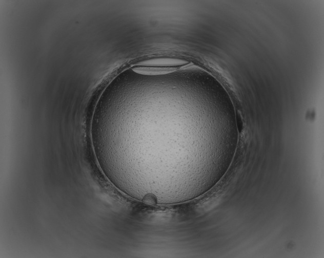 X0000091230306200708231700
