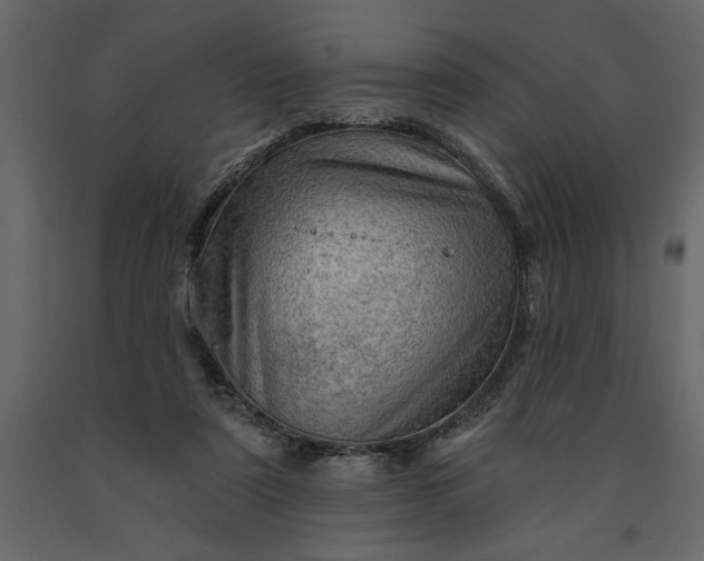 X0000091230307200708231700