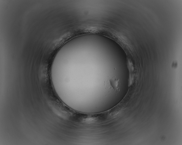 X0000091230312200708231700