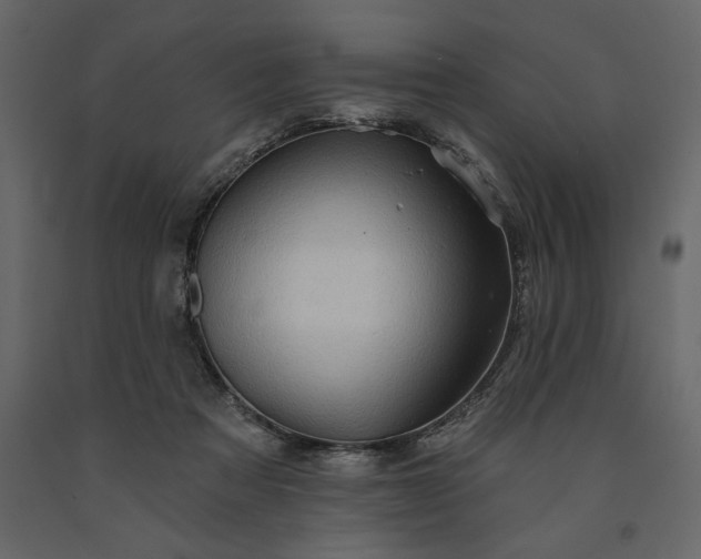 X0000091230313200708231700