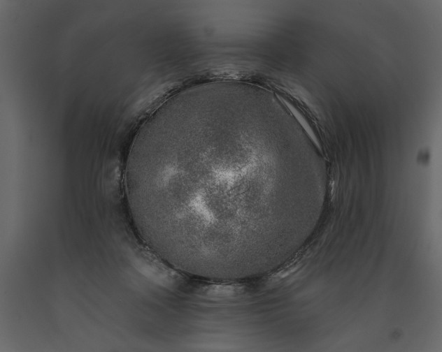 X0000091230314200708231700