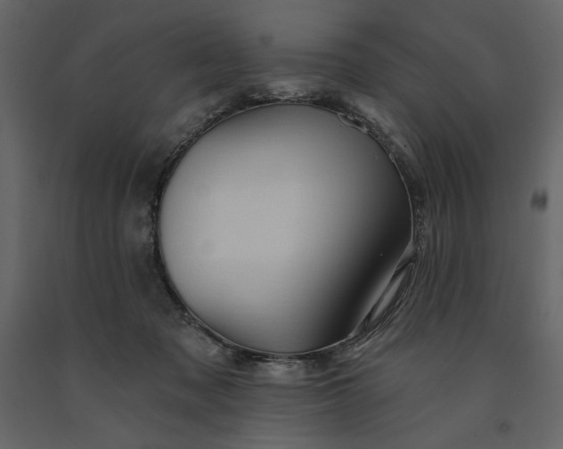 X0000091230317200708231700