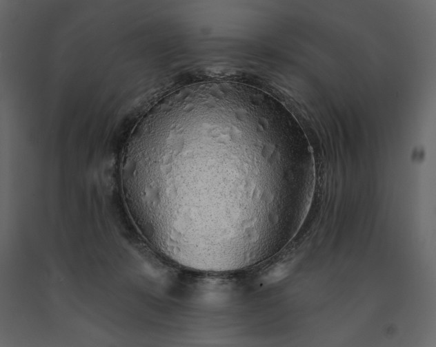 X0000091230319200708231700
