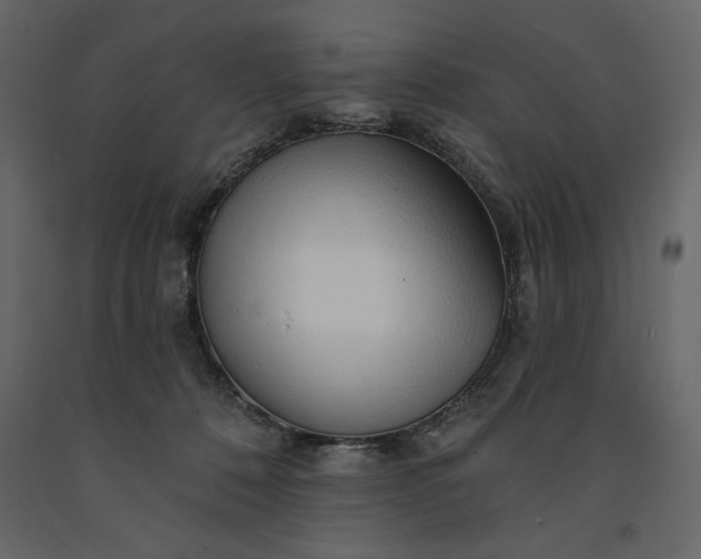 X0000091230320200708231700