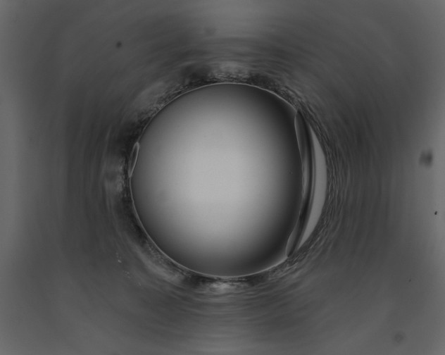 X0000091230323200708231700