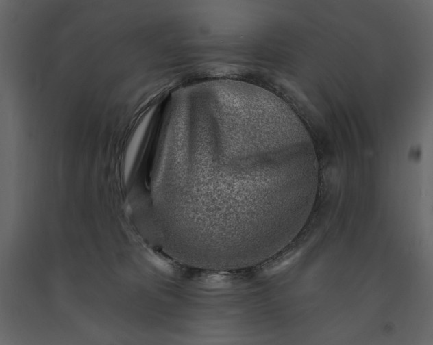 X0000091230325200708231700