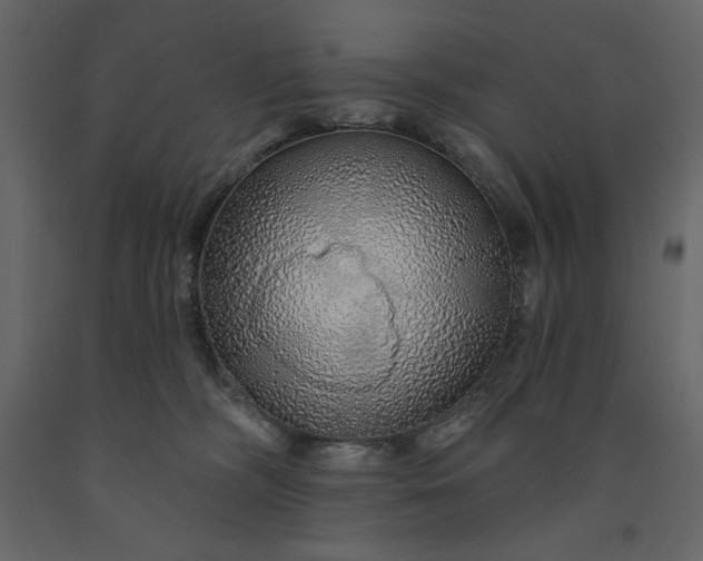 X0000091230326200708231700