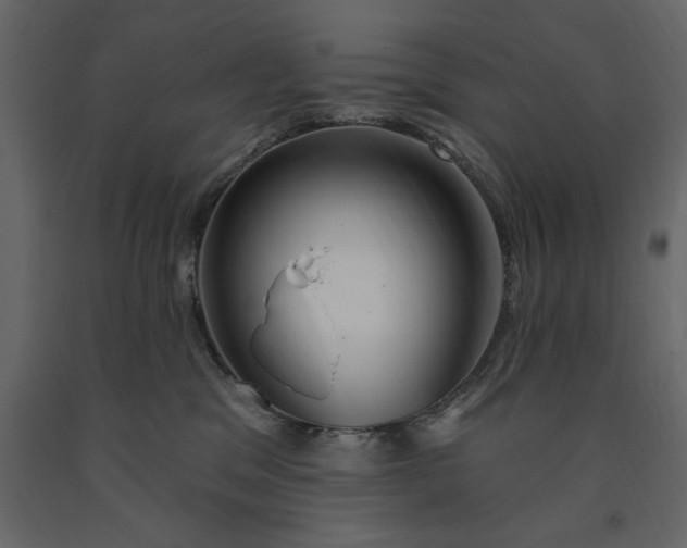 X0000091230329200708231700