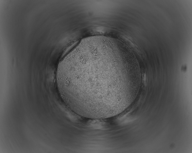 X0000091230331200708231700