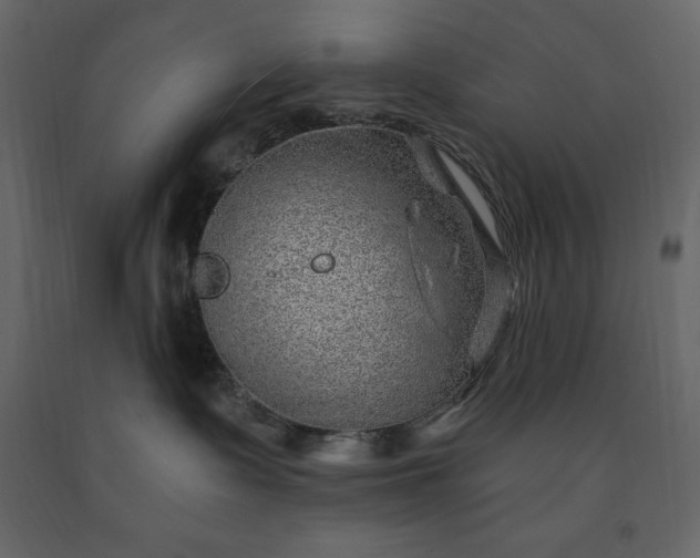 X0000091230335200708231700