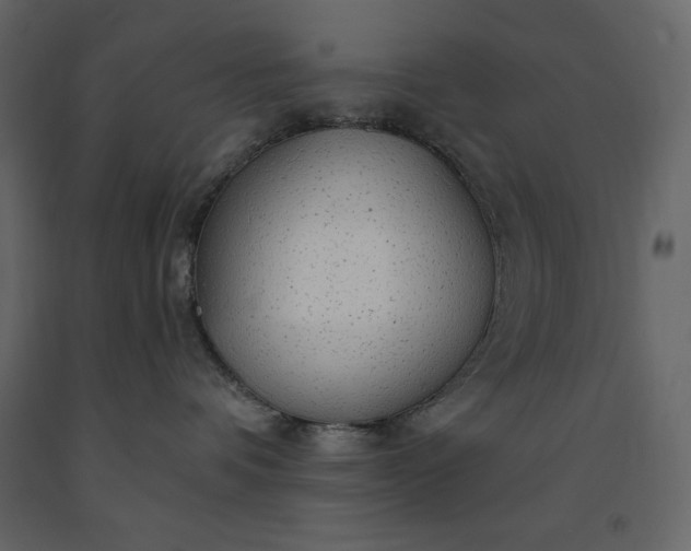 X0000091230336200708231700