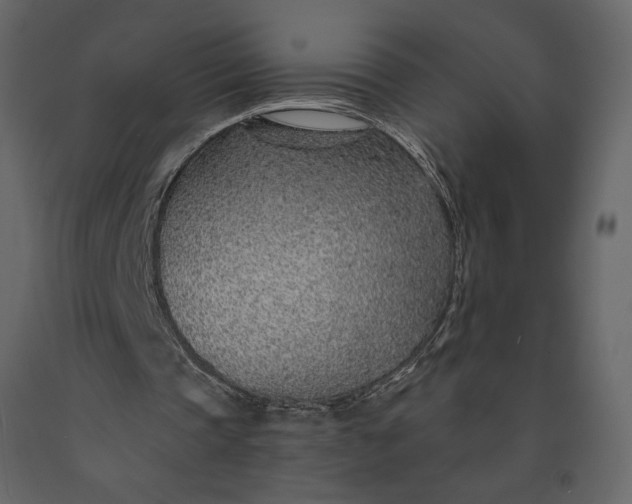 X0000091230337200708231659