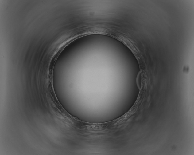 X0000091230338200708231659