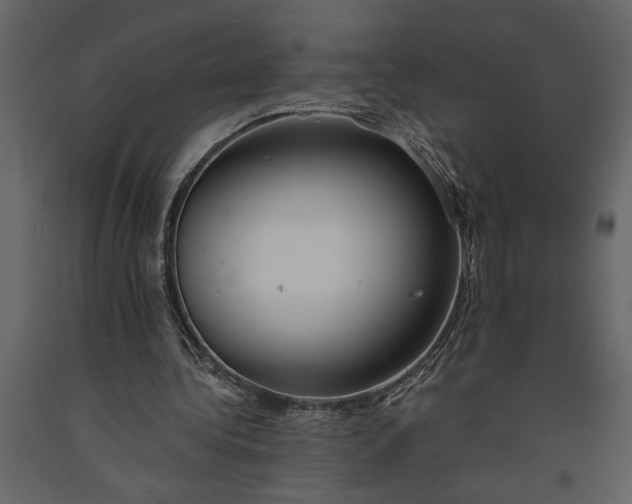X0000091230340200708231659
