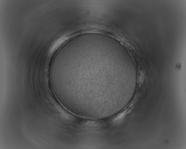 X0000091230341200708231659