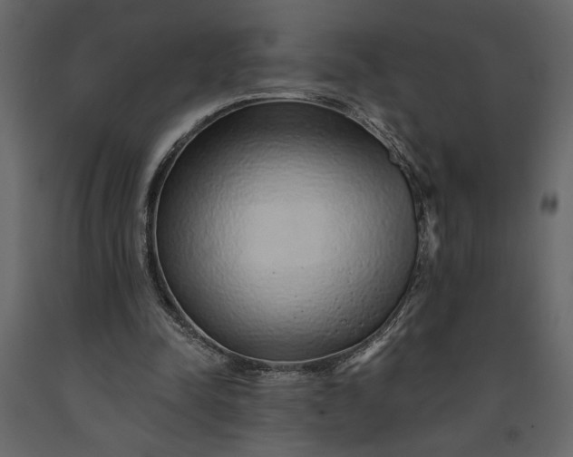 X0000091230342200708231659