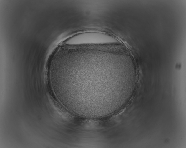 X0000091230343200708231659