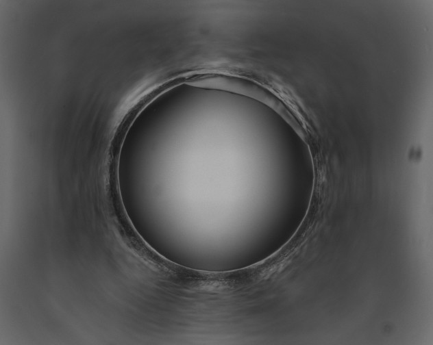 X0000091230344200708231659