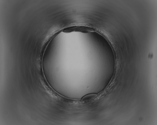 X0000091230345200708231659