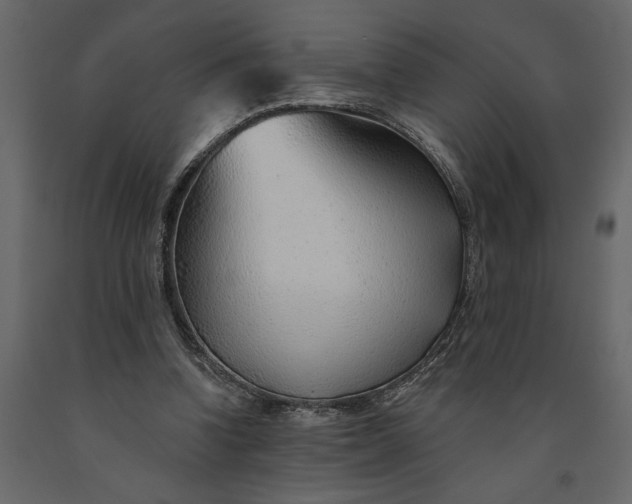 X0000091230346200708231659