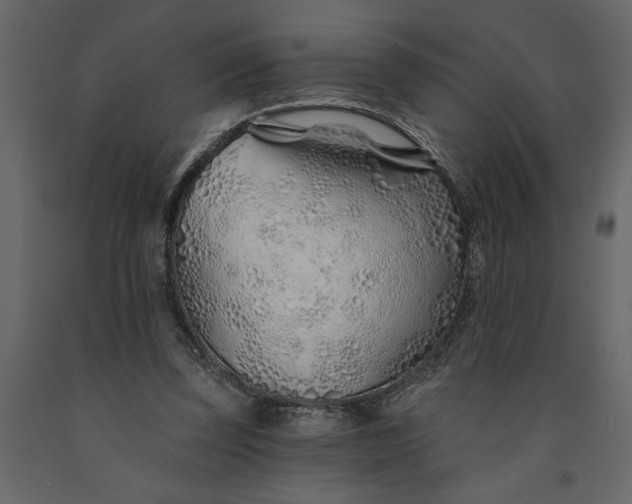 X0000091230347200708231659