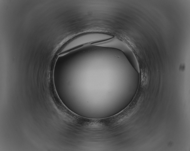 X0000091230348200708231659