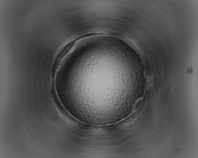 X0000091230349200708231659