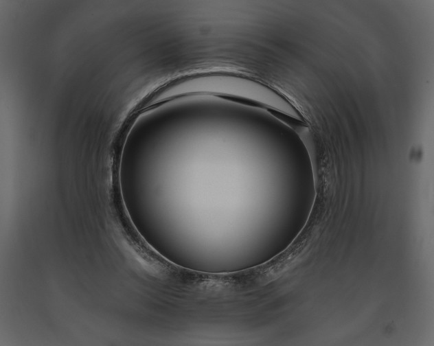 X0000091230350200708231659