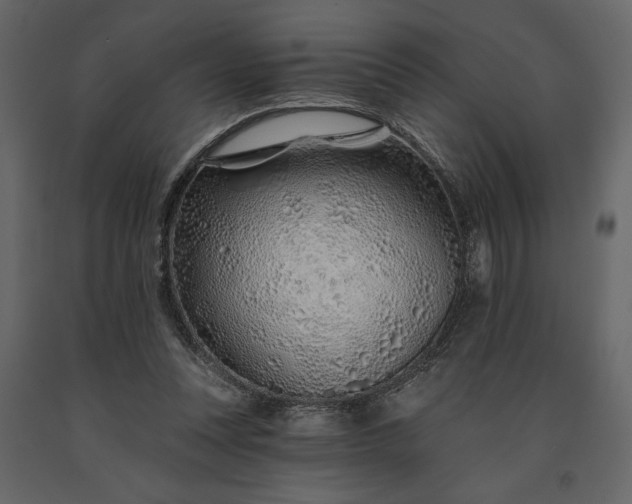 X0000091230351200708231659