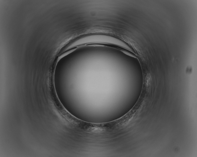 X0000091230352200708231659