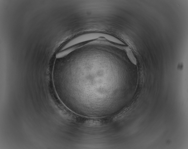 X0000091230354200708231700