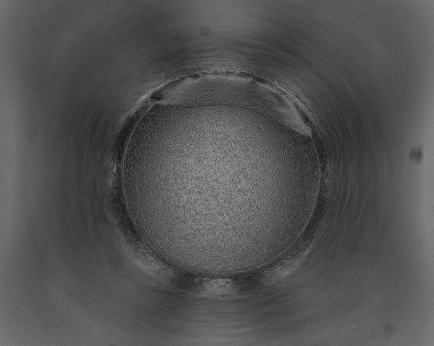 X0000091230355200708231700