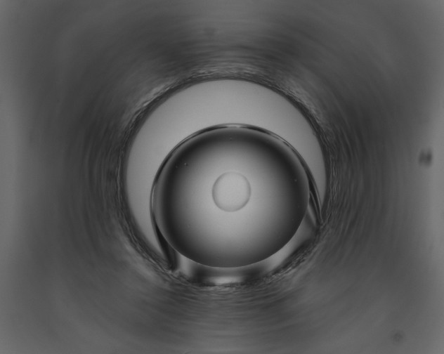 X0000091230356200708231700